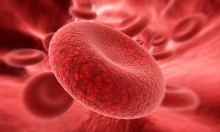 Ilustração glóbulos vermelhos