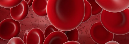 MSO 106 - Código H: novo protocolo para risco de sangramento e sangramento ativo