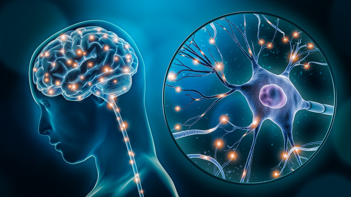 Esclerose Múltipla: principais avanços no diagnóstico e no tratamento